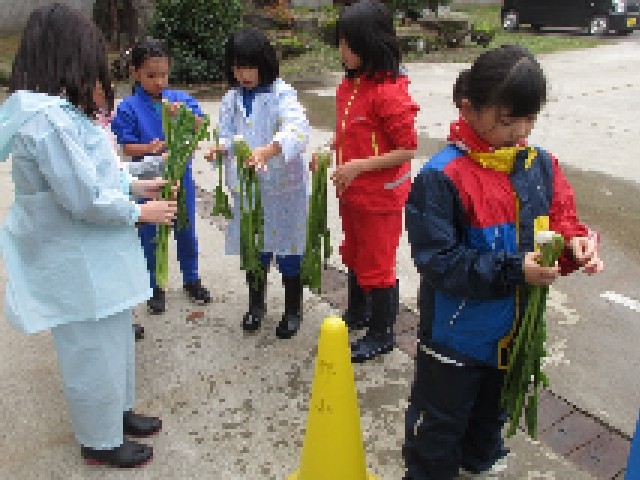 https://nozawaonsen.schoolweb.ne.jp/20020001/blog_img/106298563?tm=20241125173703