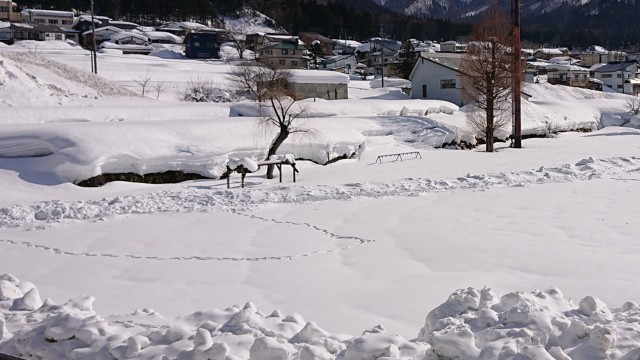 https://nozawaonsen.schoolweb.ne.jp/20020001/blog_img/231731496?tm=20250221181820