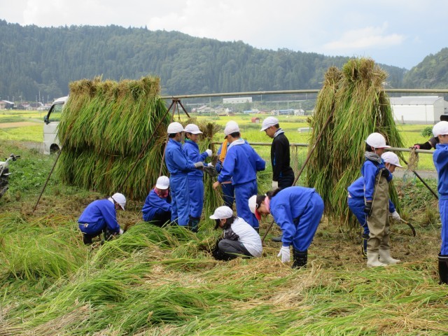 https://nozawaonsen.schoolweb.ne.jp/20020001/blog_img/43415325?tm=20240924165836