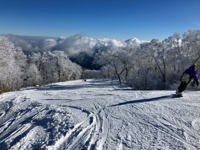 やまびこAコース