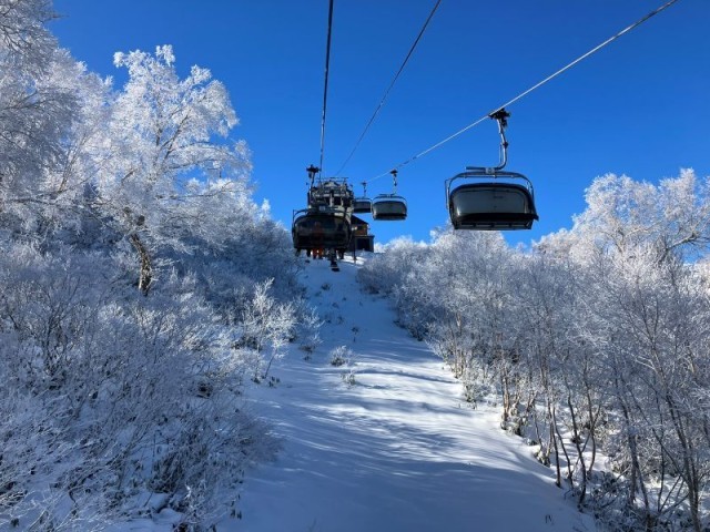 やまびこフォーリフト